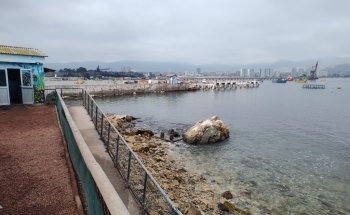 Aquarium / Museum School of Marine Sciences, UCN