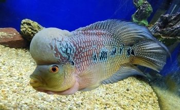Aquamundo Aquarium