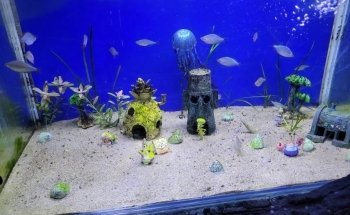 Aquamundo Aquarium