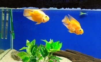 Aquamundo Aquarium