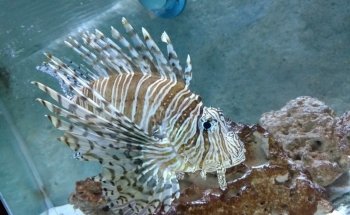 Aquamundo Aquarium