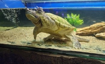 Aquamundo Aquarium