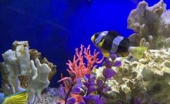 Aquamundo Aquarium