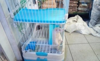 Acuariofertas