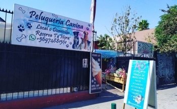 Acuariofertas