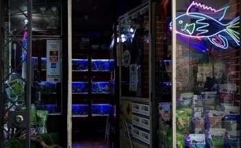 Caba Aquariums