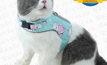 Mundo Animal Punta Arenas - Acuarismo