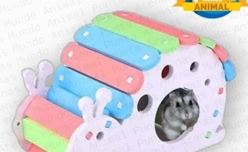 Mundo Animal Punta Arenas - Acuarismo