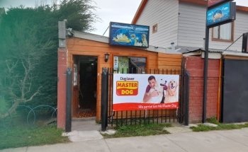 Mundo Animal Punta Arenas - Acuarismo