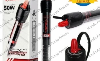 Mundo Animal Punta Arenas - Acuarismo