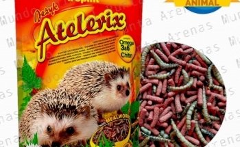 Mundo Animal Punta Arenas - Acuarismo