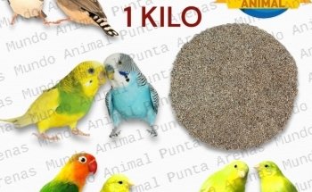 Mundo Animal Punta Arenas - Acuarismo