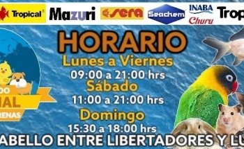 Mundo Animal Punta Arenas - Acuarismo