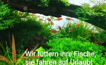 Aquawoman Aquarienservice & Aquarium Fachhandel