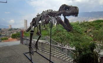 Parque Explora