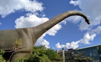 Parque Explora