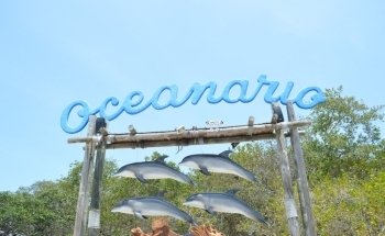 Oceanarium Rosario Islands