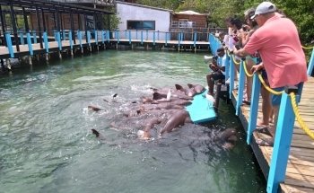 Oceanarium Rosario Islands