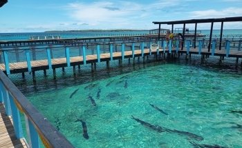 Oceanarium Rosario Islands