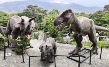Aquarium Medellin