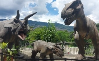 Aquarium Medellin