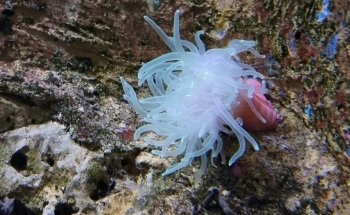 Acuario Mundo Marino