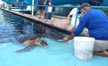 Acuario Mundo Marino