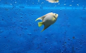 Acuario Mundo Marino