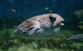 Acuario Mundo Marino