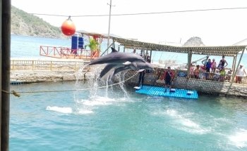 Rodadero sea aquarium and museum