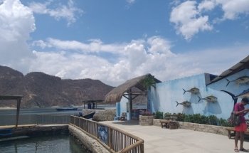 Rodadero sea aquarium and museum