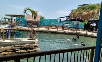 Rodadero Sea Aquarium and Museum