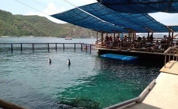 Rodadero sea aquarium and museum