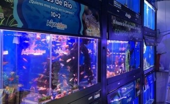 Aquavida Colombia