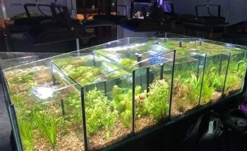 Aquavida Colombia