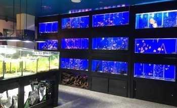 Aquavida Colombia