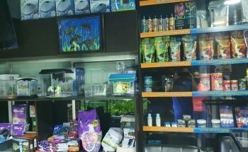 Aquavida Colombia