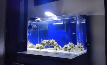 Acuaticos Tienda de Peces Bogota, Equipos, Alimento, Venta de Acuarios