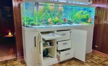 Aquatic Fish Store Bogotá, Equipment, Food, Aquarium Sales