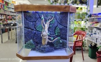 El Universo de los Peces