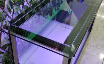 El Universo de los Peces