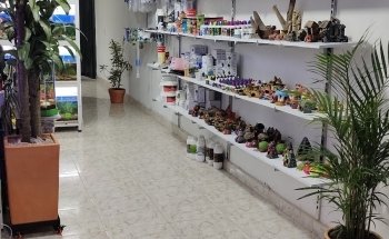 El Universo de los Peces