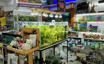El Universo de los Peces