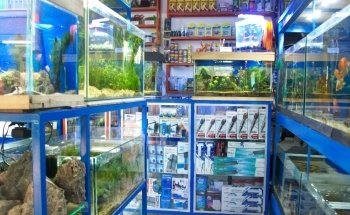 Tropcol Peces Ornamentales