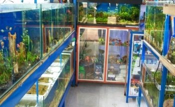 Tropcol Peces Ornamentales