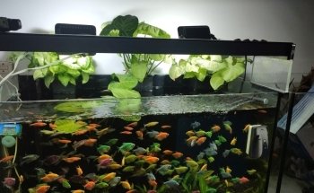 Acuaequipos