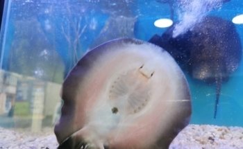 Acuaequipos