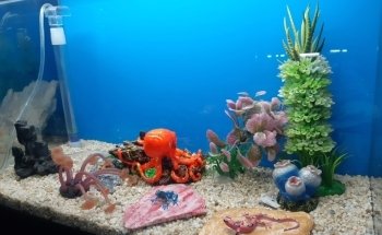 Acuaequipos