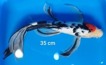 AquaEquipos