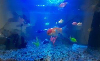 Acuaequipos